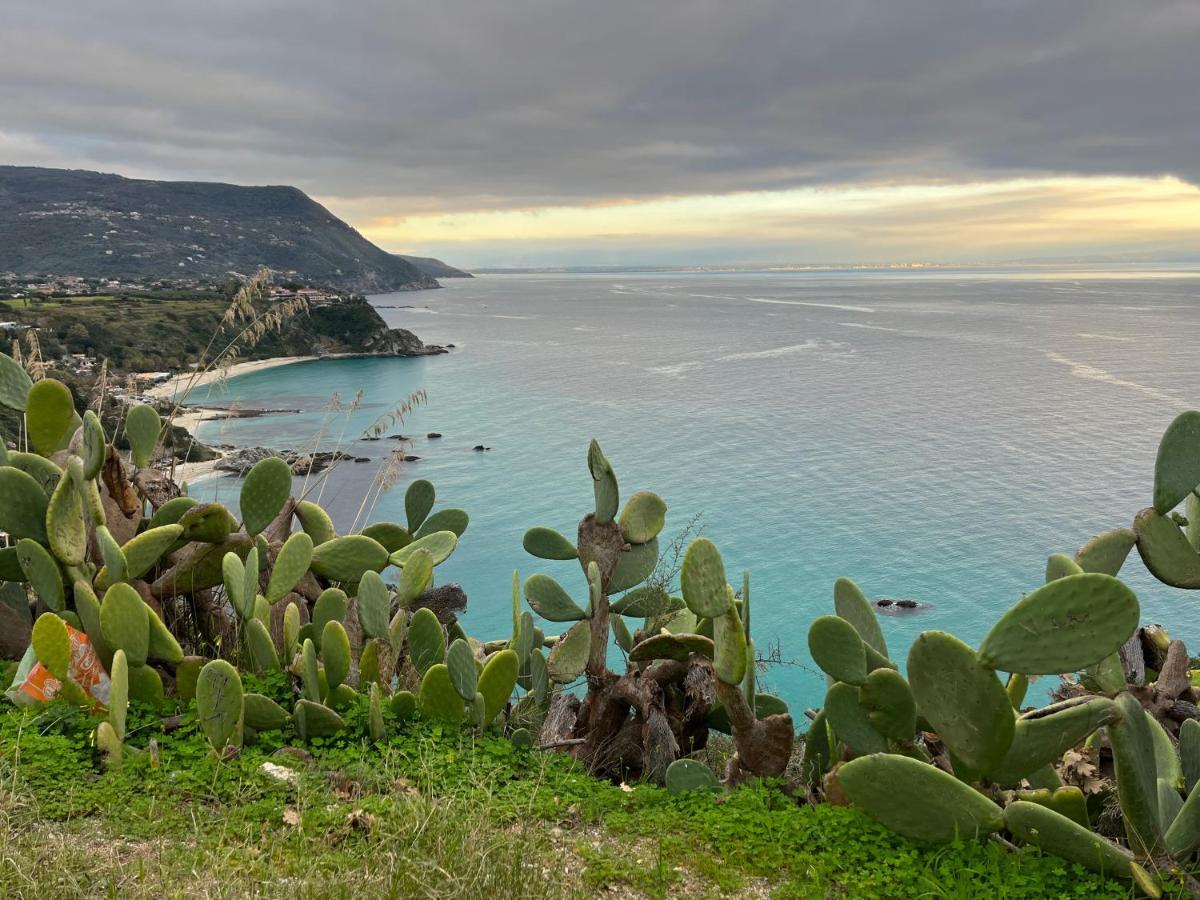 Miriasol Bed And Breakfast Capo Vaticano Eksteriør billede